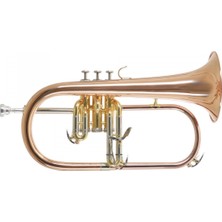 Roy Benson FH-302G Flugelhorn