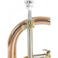 Roy Benson FH-302G Flugelhorn