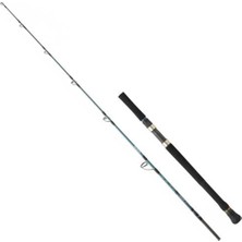 Daiwa Grandwave Sj 1.98M 180GR 2p Jig Kamış