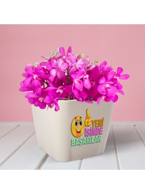 BK Kişiye Özel Safir Saksı (0.8 Lt.)