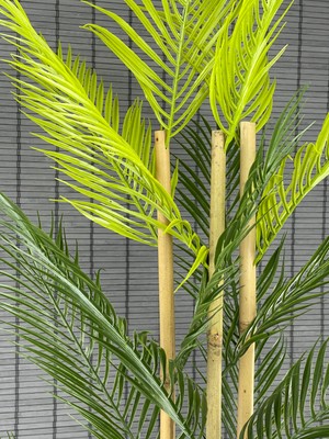 Bahçem Yapay Çiçek Areka Ağacı Palmiye Ağacı Bambu Gövdeli Ahşap Saksılı 18 Yaprak 125 cm