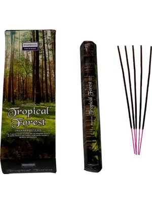 Tropical Forest-Tropik Orman Kokulu Tütsü