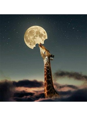 PixArt Ay Ve Zürafa 56 x 51 Elmas Mozaik Tablo