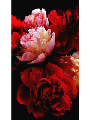 PixArt Kirmizi Pembe Guller 36 x 71 Elmas Mozaik Tablo