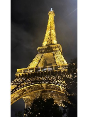 PixArt Aksam Vakti Eyfel Kulesi 37 x 69 Elmas Mozaik Tablo