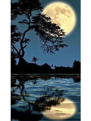 PixArt Ayin Golgesi 37 x 69 Elmas Mozaik Tablo