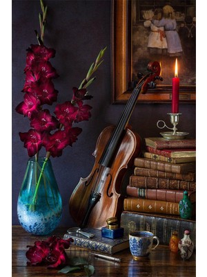 PixArt Keman Kitaplar Ve Cicek 40 x 60 Elmas Mozaik Tablo