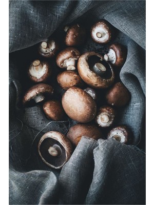 PixArt Kestane Mantari 43 x 61 Elmas Mozaik Tablo