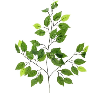 Yapay Ficus Benjamin Ağaç Dalı Parlak
