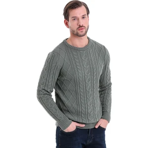 Yeşil Regular Fit Desenli Bisiklet Yaka Pamuklu Triko Kazak