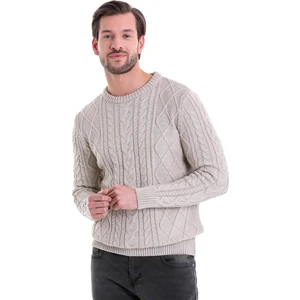 Bej Regular Fit Desenli Bisiklet Yaka Pamuklu Triko Kazak