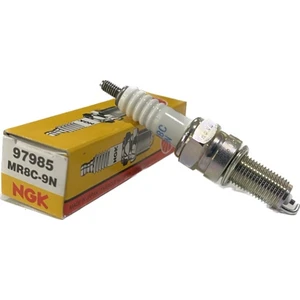 Spacy Alpha Orijinal Buji