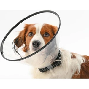 - Yakalık Kauçuk Dikişli - 5 cm