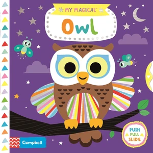 My Magical Owl (Push Pull Slide)