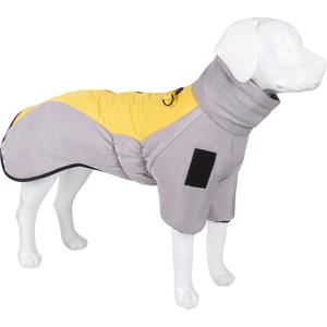 Yaratıcı Yazarlık Pet Yağmurluk Köpek Panço Yansıtıcı (Yurt Dışından)