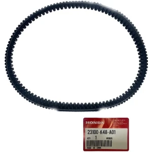 Spacy Alpha Orijinal Kayış