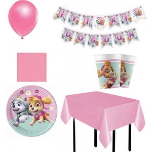 Hayaller Dükkanı Paw Patrol Skye  Everest 16 Kişilik Set