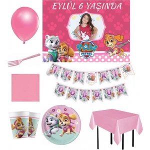 Hayaller Dükkanı Afiş Li 8 Kişilik Paw Patrol Skye  Everest Parti Seti Erkek Doğum Günü Süsleri