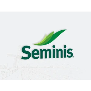 Seminis Gina Fasulye Tohumu 1 kg