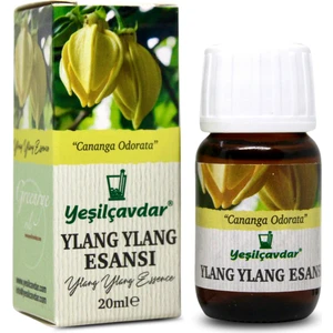 Ylang Ylang Esansı 20ML