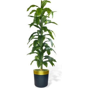 Yapay Ağaç Yukka Dracena 180*70CM Galvaniz Gold Kemerli Siyah Saksıda Salon Çiçeği Yapay Çiçek