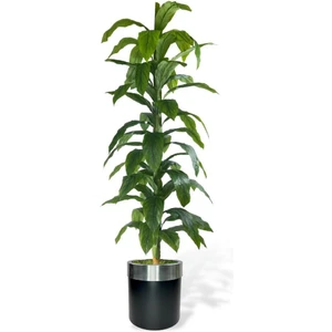 Yapay Ağaç Yukka Dracena 180*70CM Galvaniz Gümüş Kemerli Siyah Saksıda Salon Çiçeği Yapay Çiçek