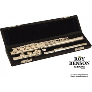Roy Benson FL-402E Yan Flüt