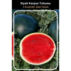 Tohum Seç Siyah Karpuz Tohumu, 2 Gram/30+ Adet Tohum
