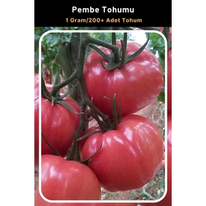 Tohum Seç Pembe Domates Tohumu, 1 GRAM/200+ Adet Tohum