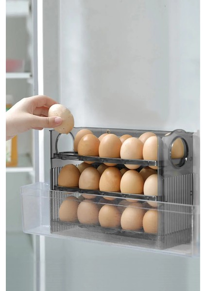 Buzdolabı Yumurta Organizeri SC-4301