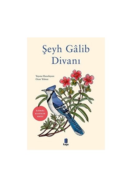 Şeyh Galib Divanı