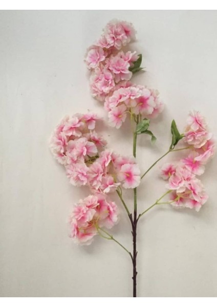 Rüzgar Çiçekcilik 80 cm Pembe Bahardalı