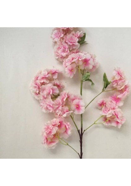 Rüzgar Çiçekcilik 80 cm Pembe Bahardalı fiyatları