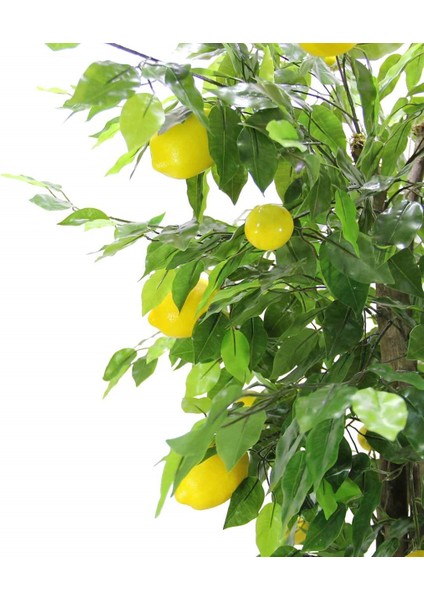 Yapay Limon Ağacı 170 cm fiyatları