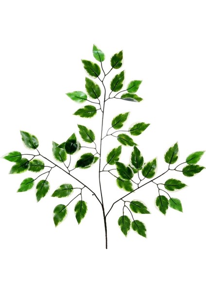 Yapay Ficus Benjamin Starlight Dalı Alacalı 2 Adet