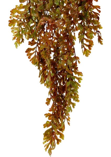 Yapay Kül Çiçeği Kızıl fiyatları