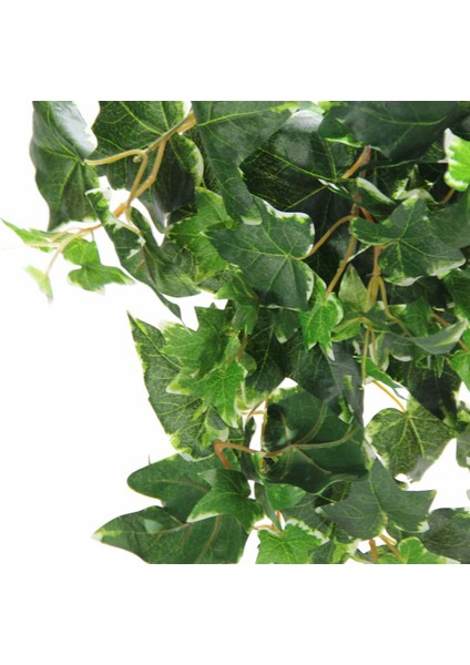 Yapay Alacalı Hedera Sarmaşık 90 cm