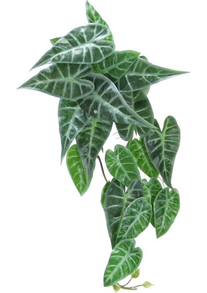 Yapay Caladium Sarmaşık Demeti 55 cm
