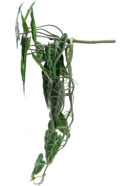 Yapay Caladium Sarmaşık Demeti 55 cm fiyatları