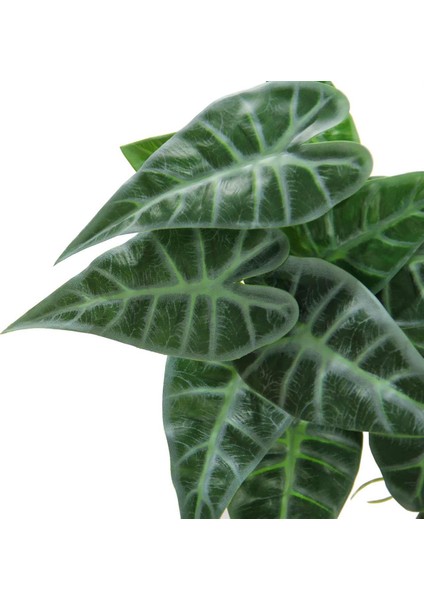 Yapay Caladium Sarmaşık Demeti 55 cm modelleri