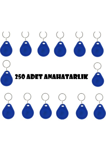 Tag Manyetik Anahtarlık - 250 Adet  Proximity Anahtarlık