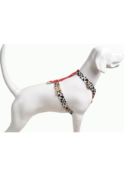 Leo Mix Köpek Göğüs Tasması fırsatları