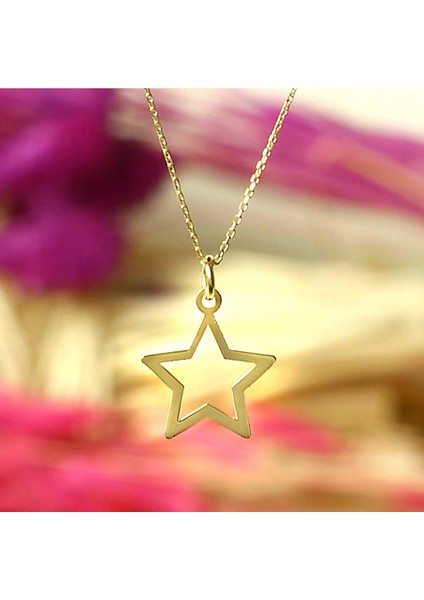 Kadın 14 Ayar Altın Yıldız Kolye fırsatları