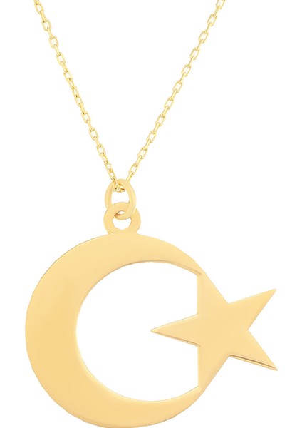Kadın 14 Ayar Altın 2 cm Ay Yıldız Kolye