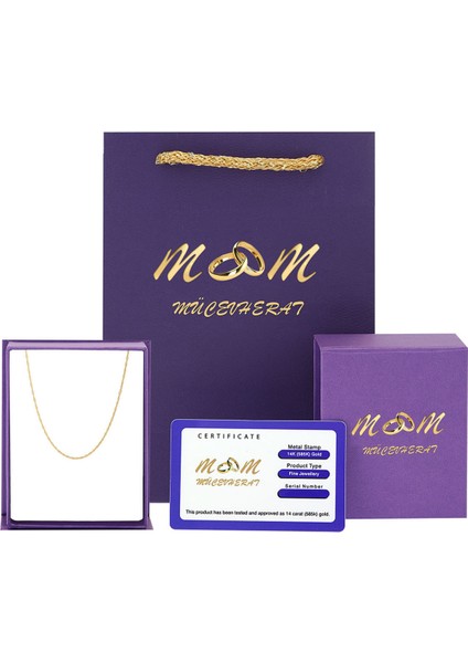 Kadın 14 Ayar Altın Singapur Zincir