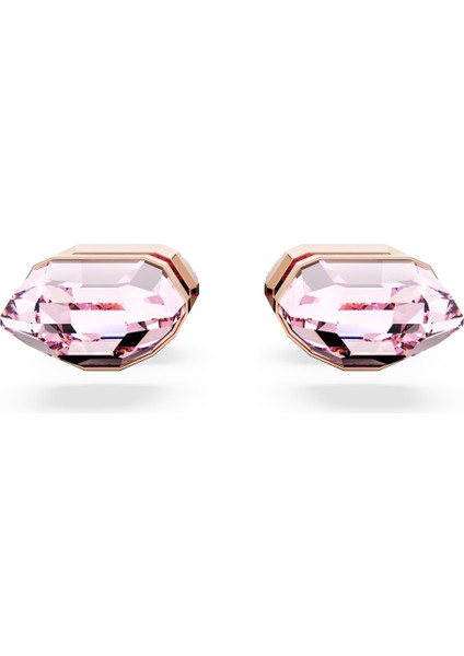 5626603 Swarovski Küpe Re Lucent:pe Stud Rlin/ros