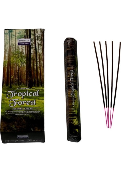 Tropical Forest-Tropik Orman Kokulu Tütsü
