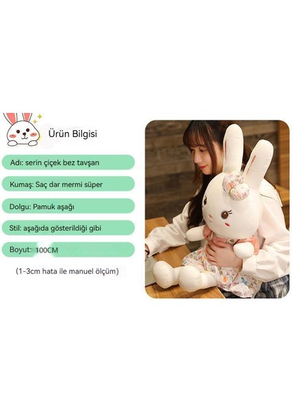 Kalp Zamanı Peluş Oyuncak Sevimli Beyaz Tavşan Bebek Bebek (Yurt Dışından) indirimleri