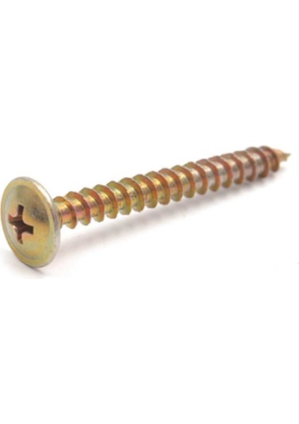 Pul Başlı Vida (500adet)