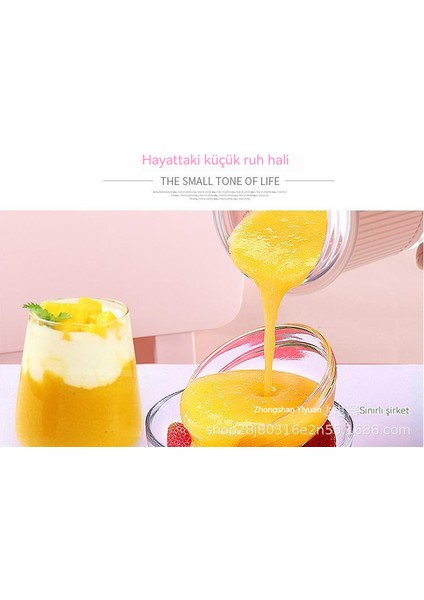 Çok Fonksiyonlu Meyve Sıkacağı Küçük Meyve Suyu Makinesi (Yurt Dışından)